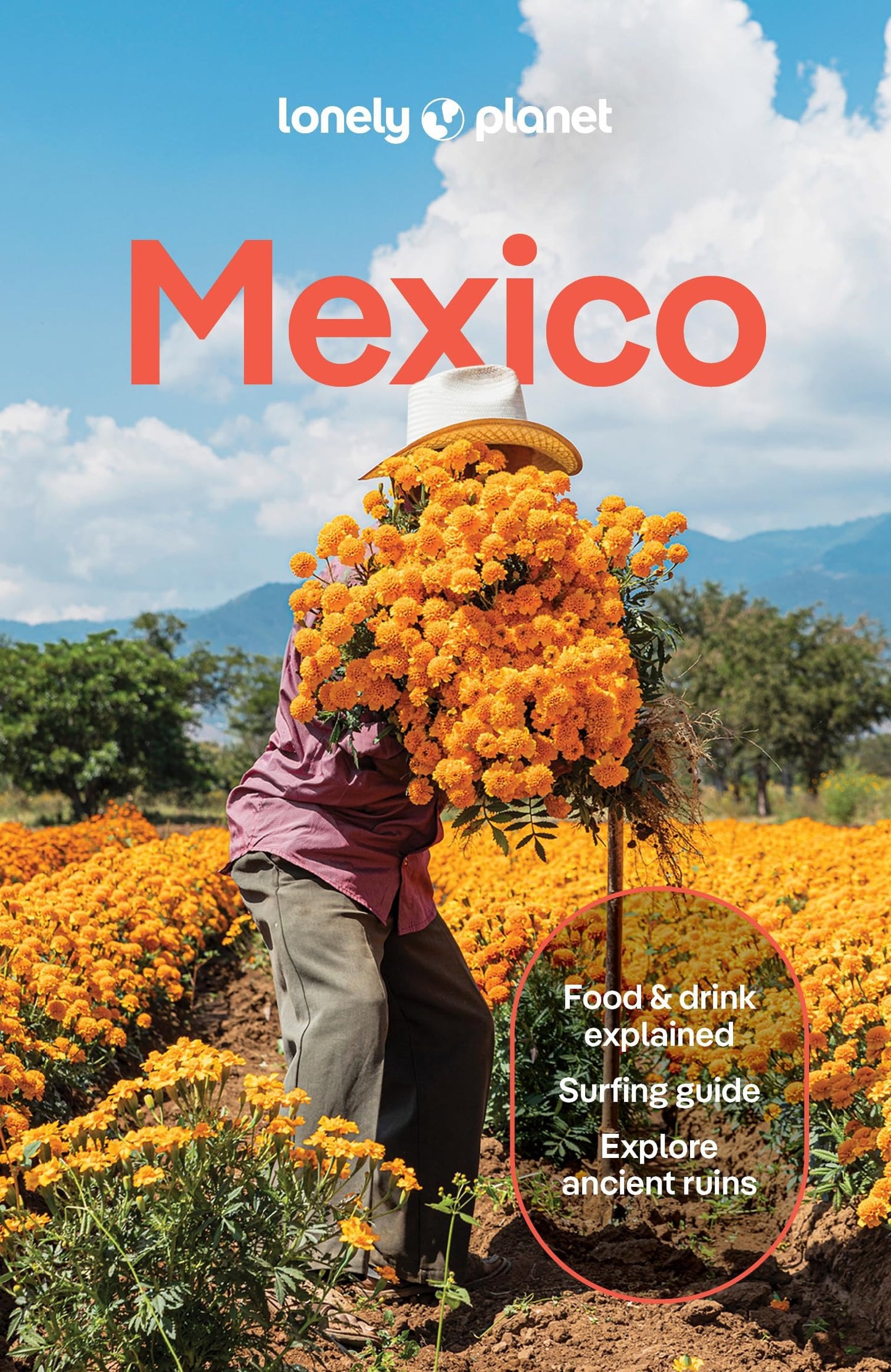Lonely Planet Mexico: Plan the Trip of a Lifetime | Detailed Itineraries & Maps | Insider Tips | Covers ETulum, Oaxaca, Copper Canyon and more (Travel Guide)
