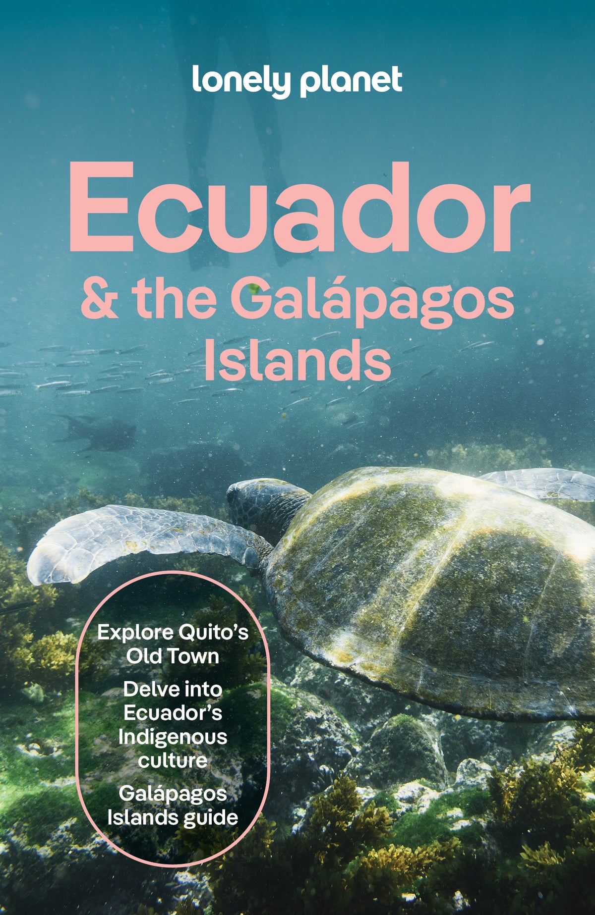 Ecuador and the Galapagos Islands 14