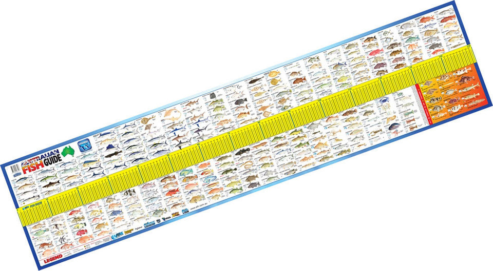 AFN Australian Maxi Fish Mat 1.5m x 350mm