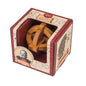 Great minds Galileos Puzzle