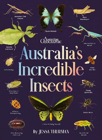 Australia's Incredible Insects by Australian Geographic