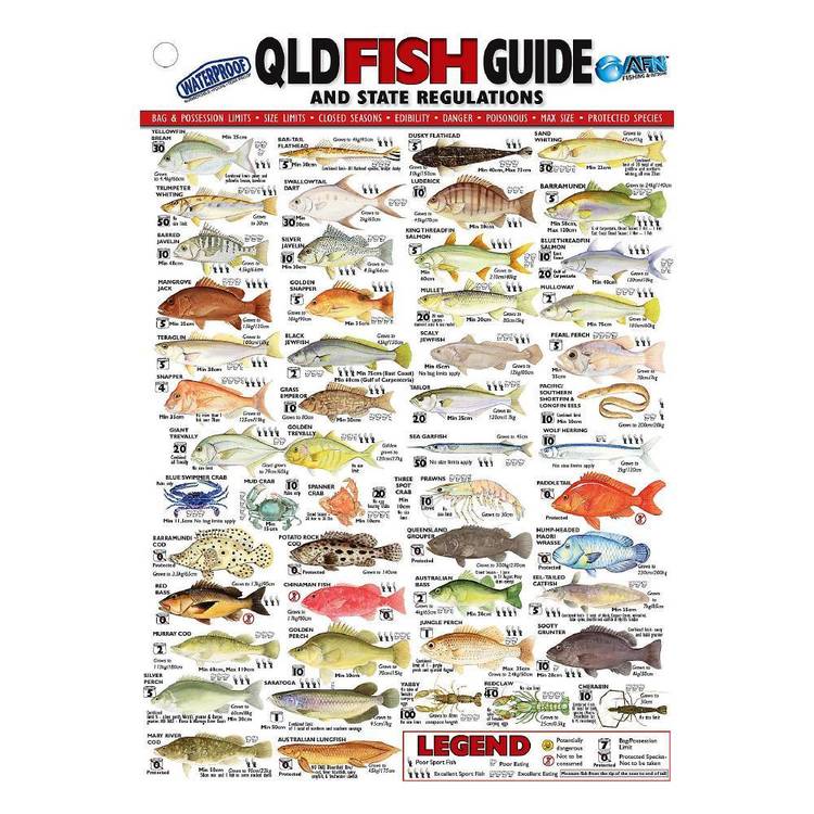 AFN QLD Fish ID Card - VINYL