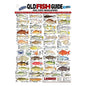 AFN QLD Fish ID Card - VINYL