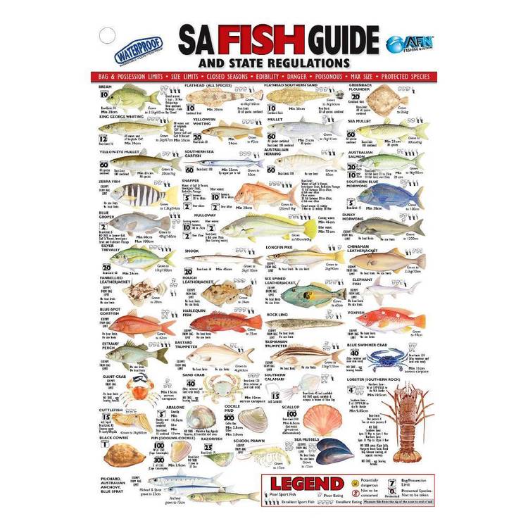 AFN SA Fish ID Card - VINYL