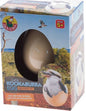 Kookaburra Egg Growing Pet