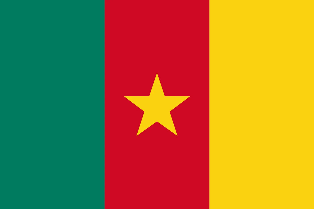 Cameroon Flag 5' X 3'