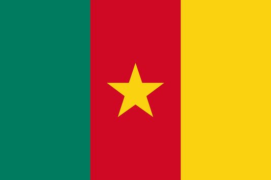 Cameroon Flag 5' X 3'
