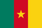 Cameroon Flag 5' X 3'
