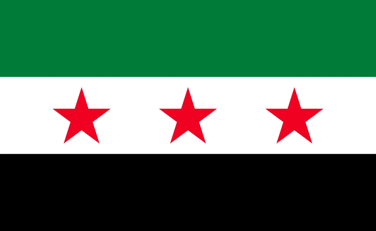 Flag Syria 3' x 5'