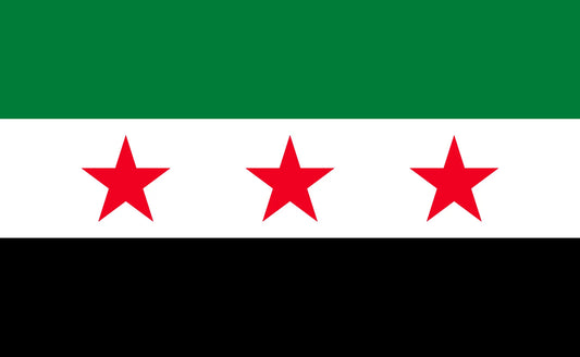 Flag Syria 3' x 5'