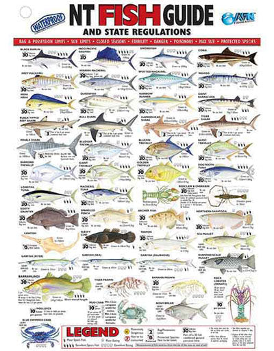 AFN NT FISH ID CARD - VINYL