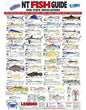 AFN NT FISH ID CARD - VINYL