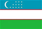 Uzbekistan Flag 3' x 5'