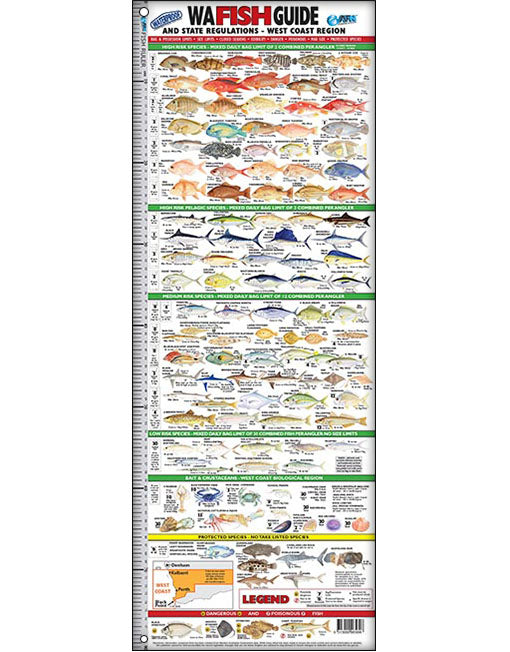 AFN WA Fish ID Ruler