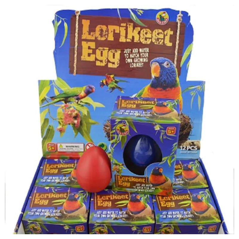 Lorikeet Egg Growing Pet