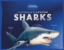 Australia’s Amazing Sharks