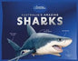 Australia’s Amazing Sharks