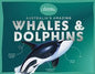 Australia’s Amazing Whales and Dolphins