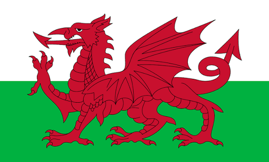 Wales Flag 3' x 5'