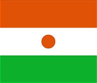 Flag Niger 5' x 3'
