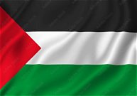 Flag Palestine 3' x 5'