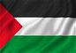Flag Palestine 3' x 5'