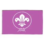 Flag Scout-Purple 3' x 5'