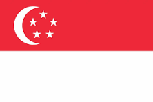 Flag Singapore 3' x 5'