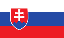 Flag Slovakia 3' x 5'