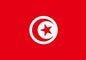 Flag Tunisia 5' X 3'